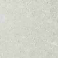 ソテツ 約1.5メートル 軽量厚底インヒールラインストーン付スニーカー （スニーカー